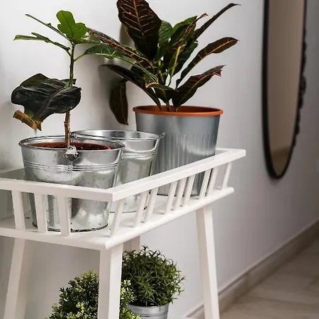 San Juan Fresh Flat * Telde