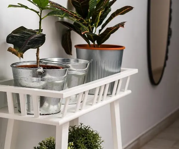 San Juan Fresh Flat * Telde