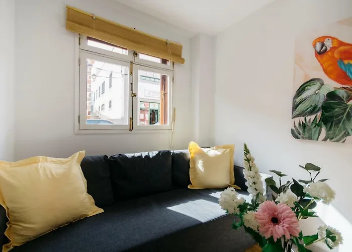 San Juan Fresh Flat *