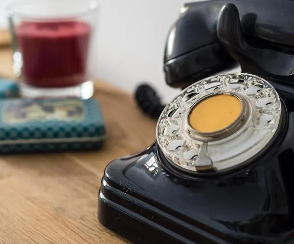 San Juan Fresh Flat * 特尔德